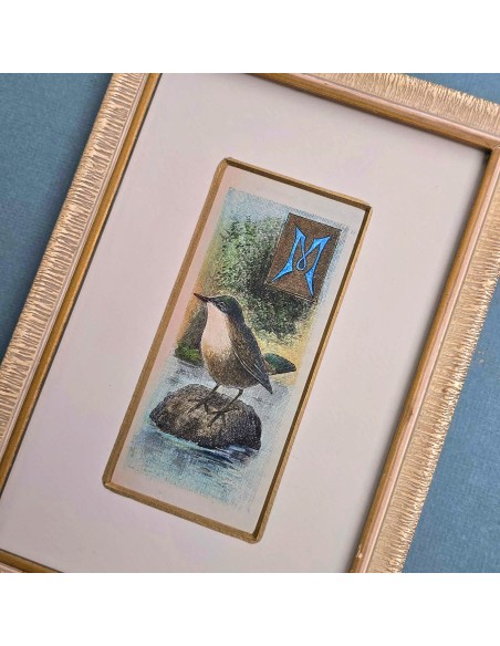 CAPOLETTERA "M"