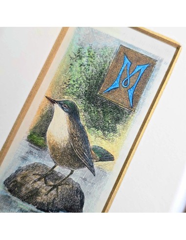 CAPOLETTERA "M"