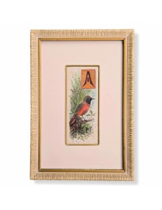 CAPOLETTERA "A"