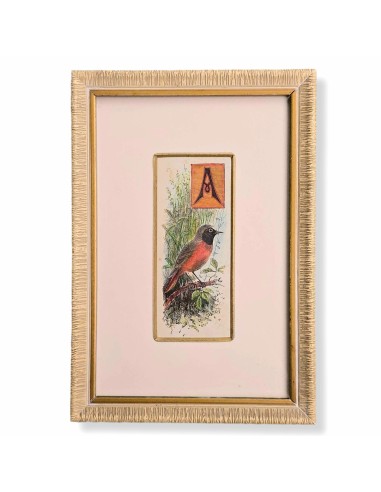 CAPOLETTERA "A"