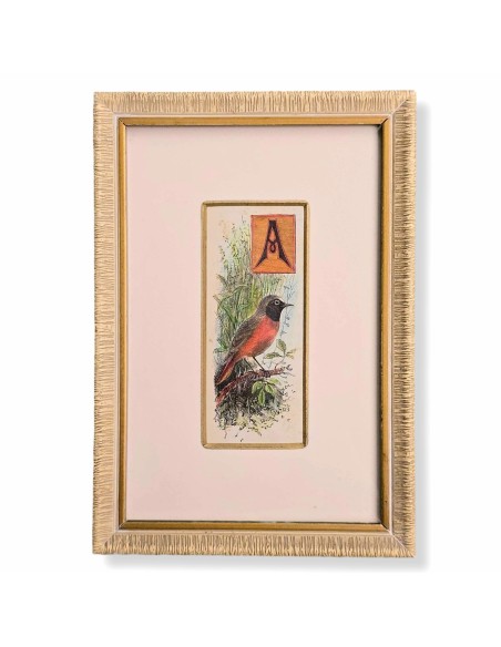 CAPOLETTERA "A"