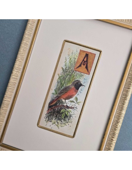 CAPOLETTERA "A"