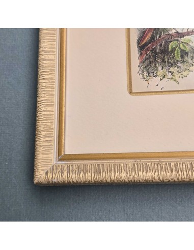 CAPOLETTERA "A"