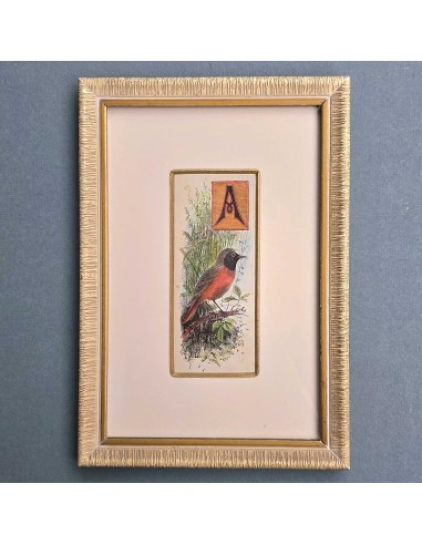 CAPOLETTERA "A"