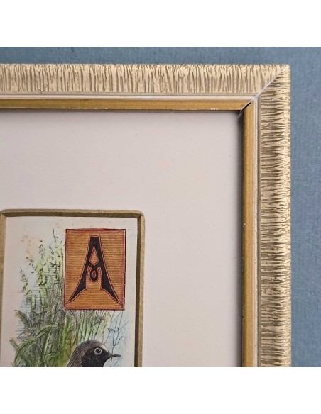 CAPOLETTERA "A"