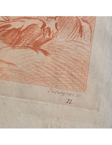 VENERE CON AMORINI