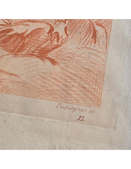 VENERE CON AMORINI