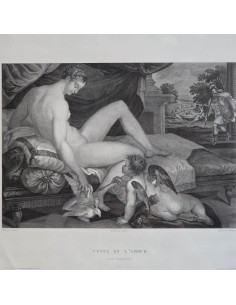 VENUS ET L'AMOUR 2