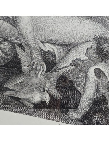 VENUS ET L'AMOUR