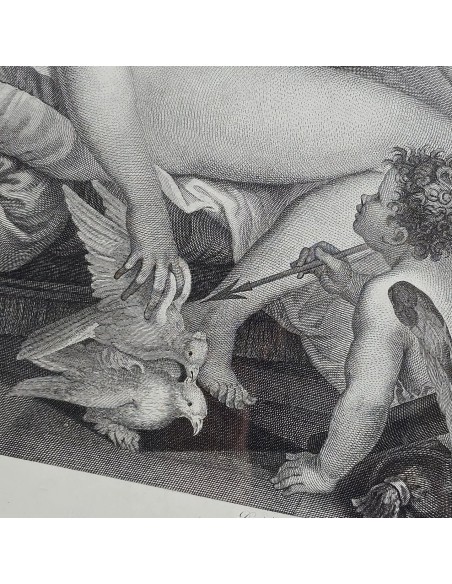 VENUS ET L'AMOUR