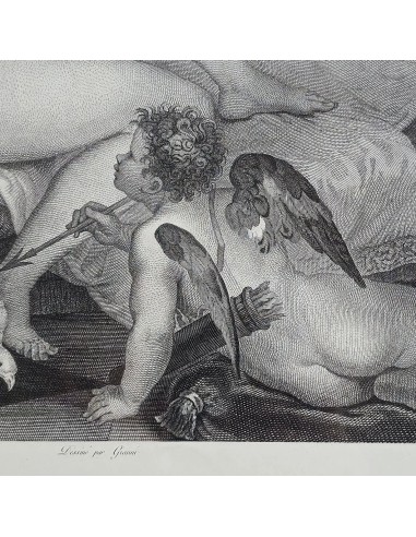 VENUS ET L'AMOUR