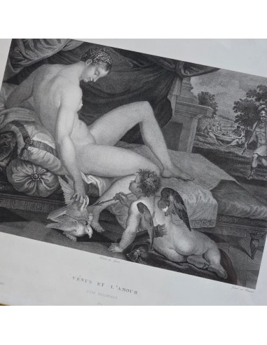 VENUS ET L'AMOUR