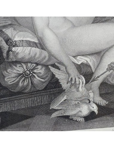 VENUS ET L'AMOUR