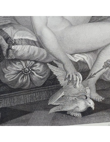 VENUS ET L'AMOUR