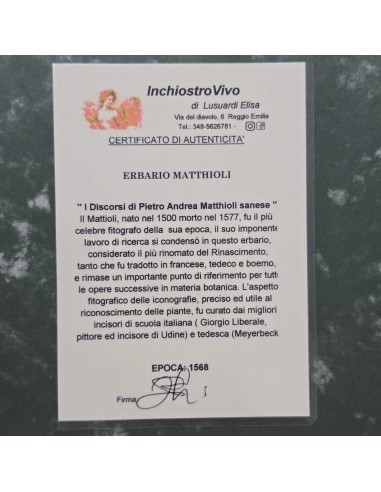ERBARIO MATTHIOLI