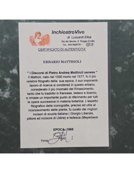 ERBARIO MATTHIOLI