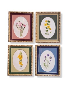 FLOWERS in pass. ovale