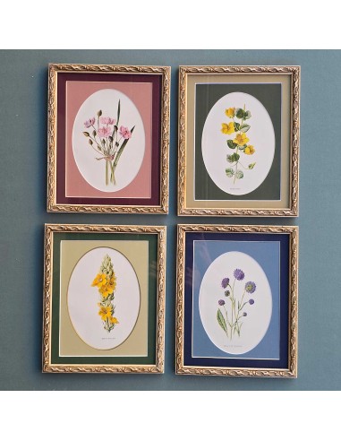FLOWERS in pass. ovale