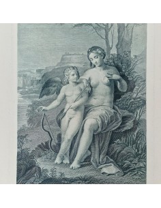 VENERE FERITA DA CUPIDO