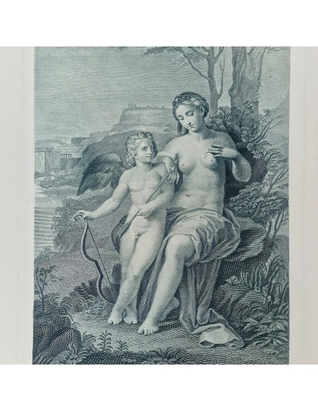 VENERE FERITA DA CUPIDO