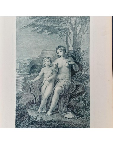 VENERE FERITA DA CUPIDO