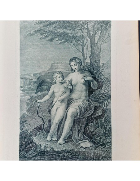 VENERE FERITA DA CUPIDO