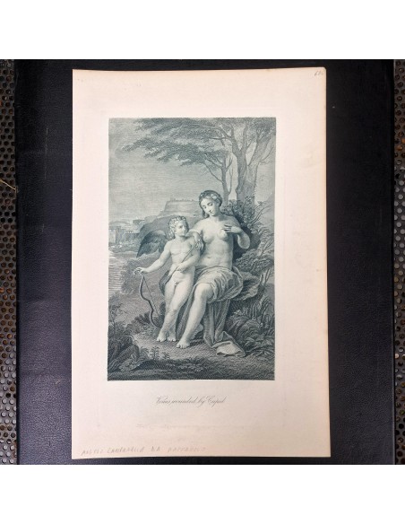 VENERE FERITA DA CUPIDO