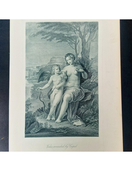 VENERE FERITA DA CUPIDO