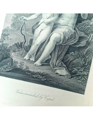 VENERE FERITA DA CUPIDO