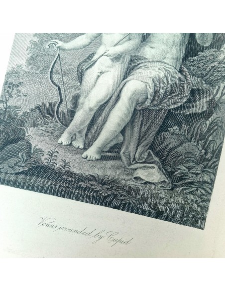 VENERE FERITA DA CUPIDO