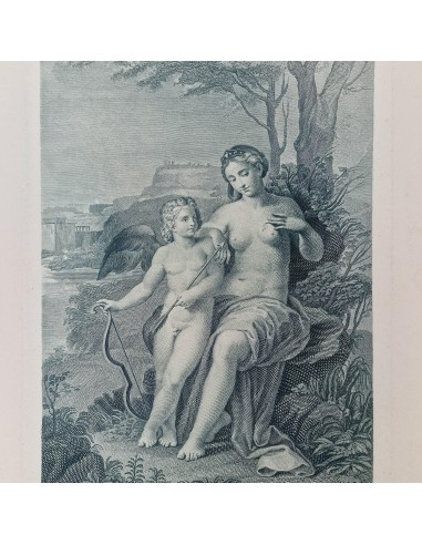 VENERE FERITA DA CUPIDO