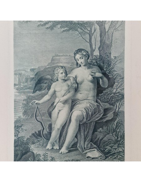 VENERE FERITA DA CUPIDO