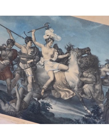 IPPOLITA, REGINA DELLE AMAZZONI