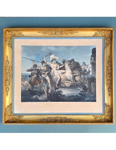 IPPOLITA, REGINA DELLE AMAZZONI