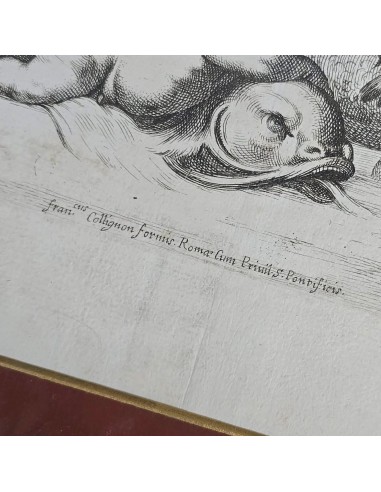 IL TRIONFO DI GALATEA
