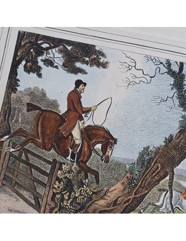 FOX HUNTING