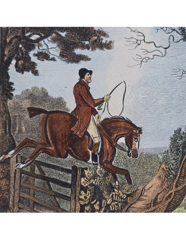 FOX HUNTING