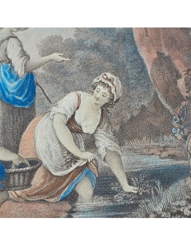 VITA CAMPESTRE