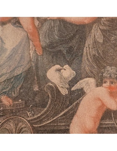 IL TRIONFO DI BELLEZZA E AMORE