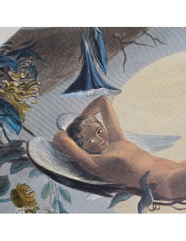 ARIEL Shakespeare