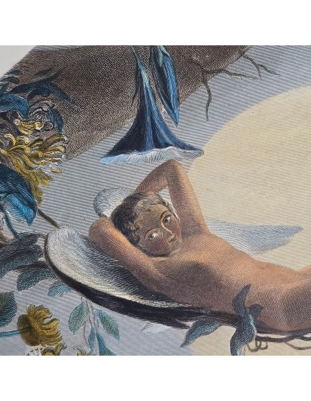 ARIEL Shakespeare