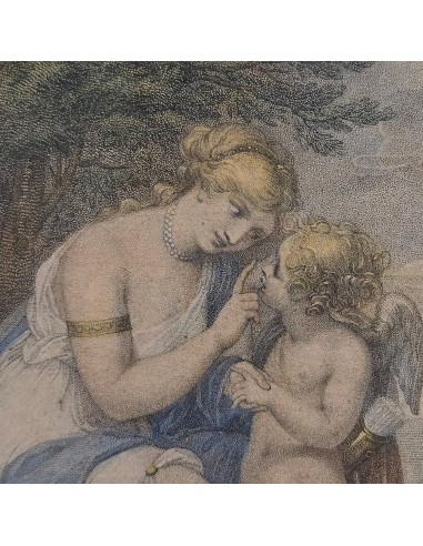 VENERE ISTRUISCE AMORE