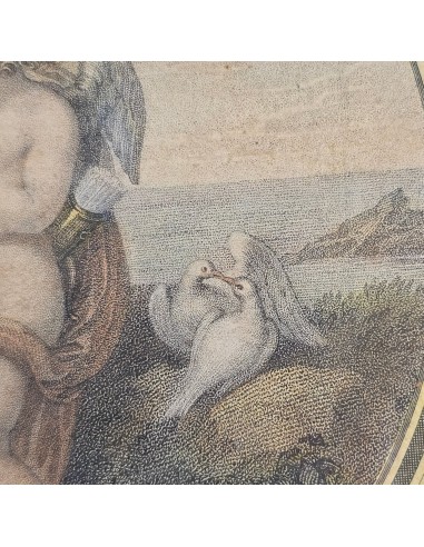 VENERE ISTRUISCE AMORE