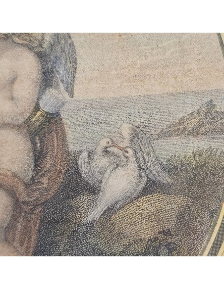 VENERE ISTRUISCE AMORE