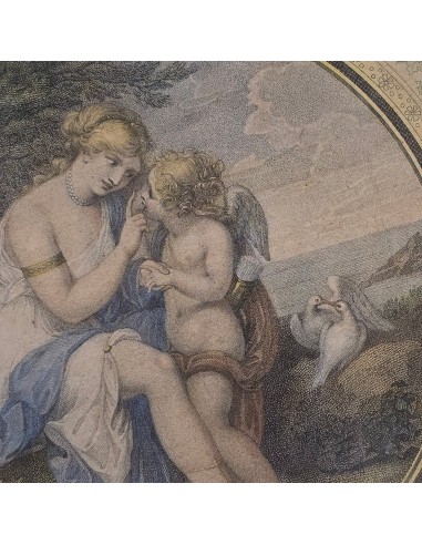 VENERE ISTRUISCE AMORE