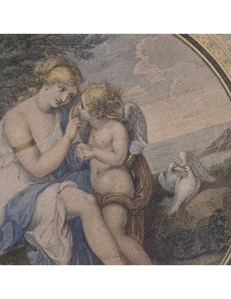 VENERE ISTRUISCE AMORE