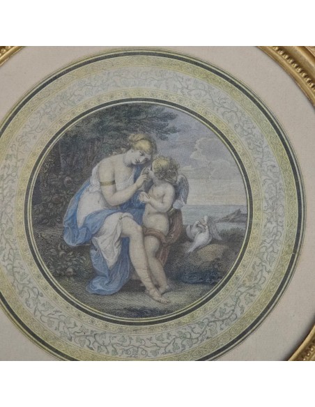 VENERE ISTRUISCE AMORE