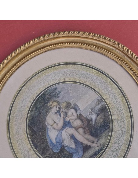 VENERE ISTRUISCE AMORE