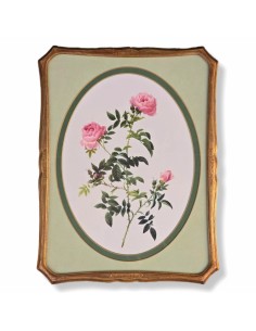 ROSE REDOUTÉ in oro e verde