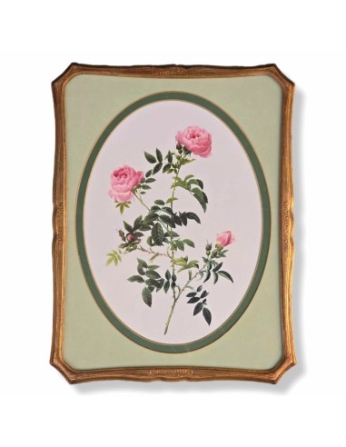 ROSE REDOUTÉ in oro e verde